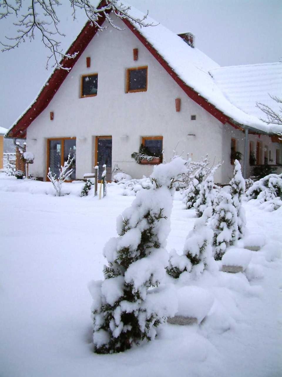 Ferienwohnung Haus Jasmin Bodstedt Exterior foto