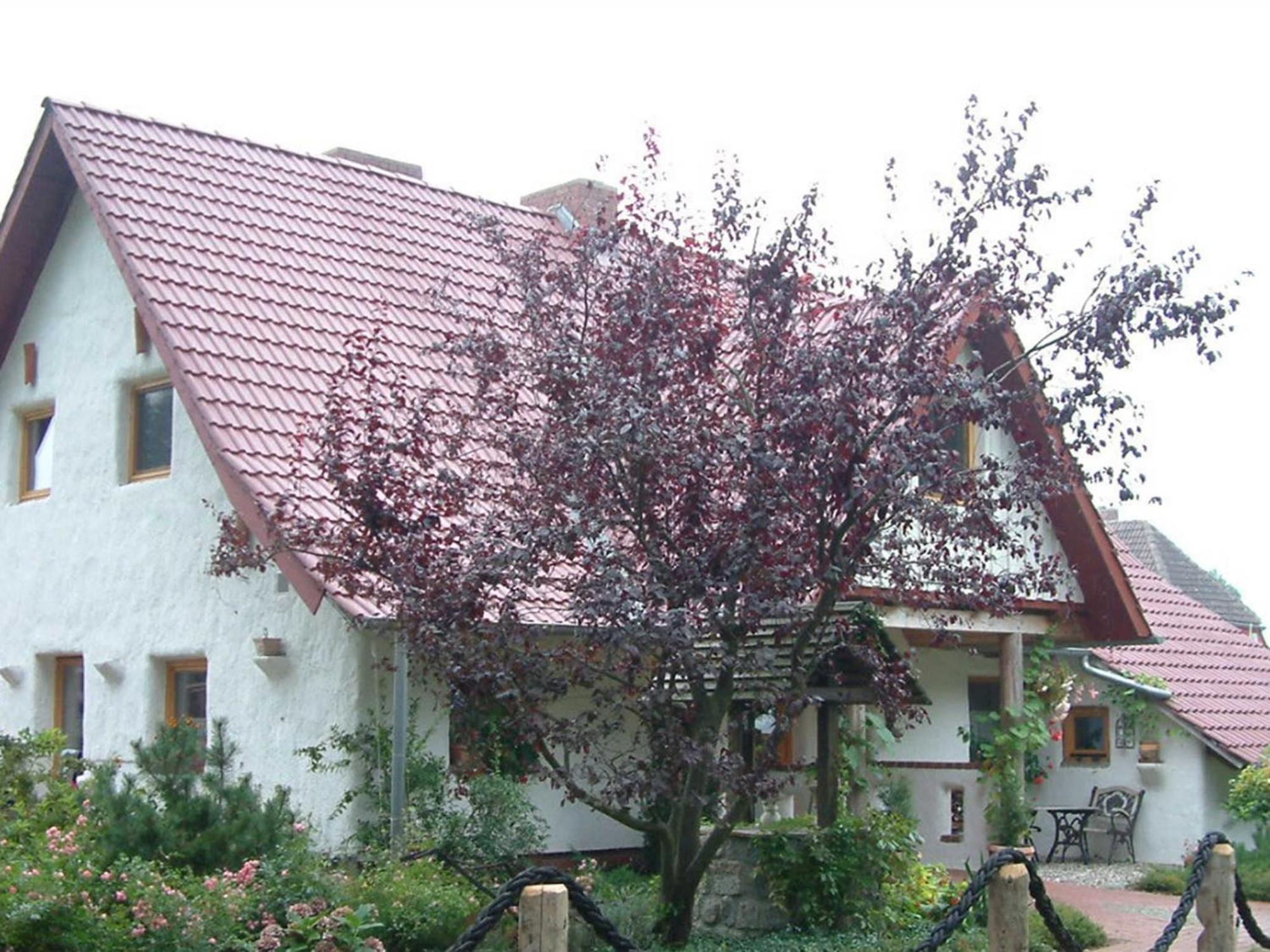 Ferienwohnung Haus Jasmin Bodstedt Exterior foto